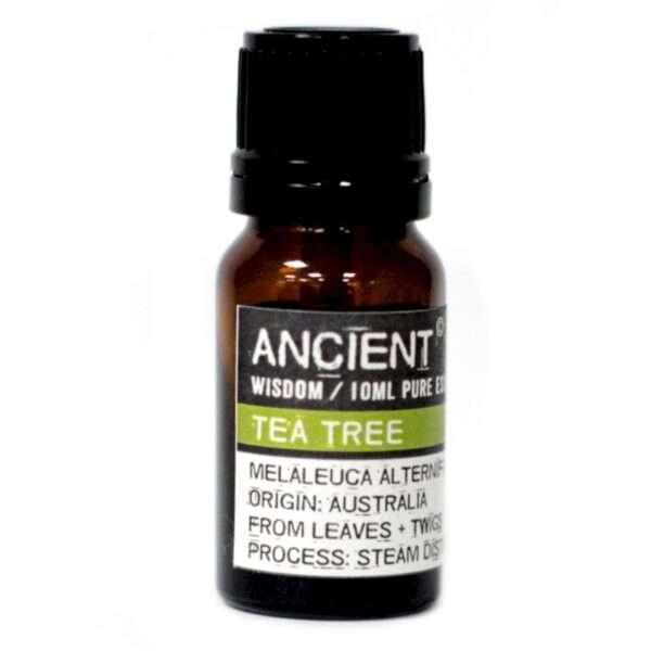 Aceite Esencial Árbol de té - Imagen 2