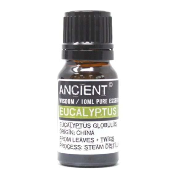 Aceite Esencial Eucalipto - Imagen 3