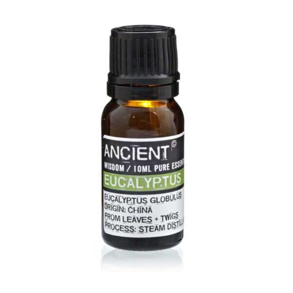 Aceite Esencial Eucalipto - Imagen 2