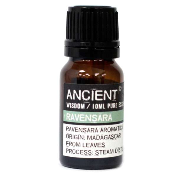 Aceite Esencial Ravensara - Imagen 4